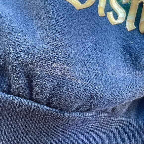 Hanes Navy Blue Disney Sweater Men Size Medium - Picture 4 of 6